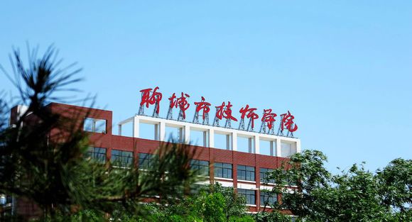 聊城市技師學(xué)院有計算機(jī)專業(yè)嗎？