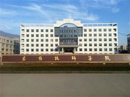 泰安技師學(xué)院畢業(yè)生就業(yè)單位有哪些？