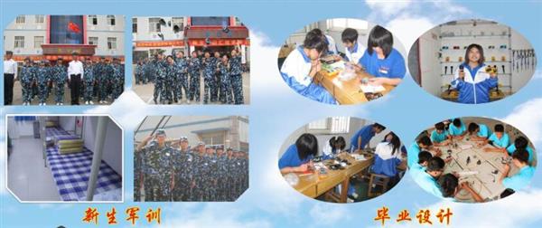 青島海信中心聯校收費標準是什么？