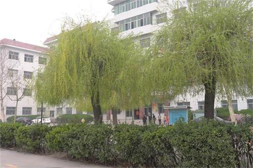 保定學鐵路乘服去哪里好？是校企合作專業(yè)嗎？