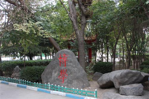  山東人民專修學院怎樣安排學生就業(yè)？