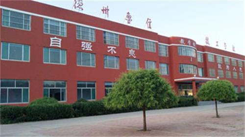 山東德州魯信通懋職業(yè)技工學校就業(yè)情況怎么樣？