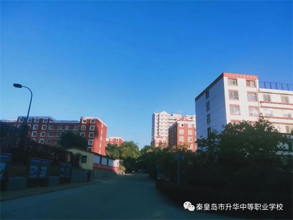 學(xué)習(xí)電子商務(wù)專業(yè)畢業(yè)后有哪些就業(yè)方向？