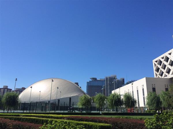 北京國際青年研修學(xué)院都開設(shè)哪些專業(yè)？