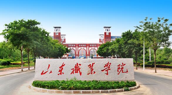 山東職業(yè)學(xué)院有哪些教學(xué)成果？