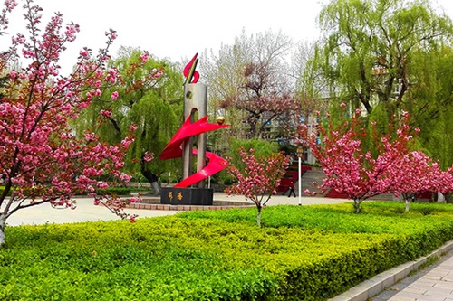 選擇齊魯技術(shù)學(xué)院學(xué)幼師怎么樣？