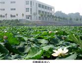 鄭州澍青醫(yī)學高等?？茖W校